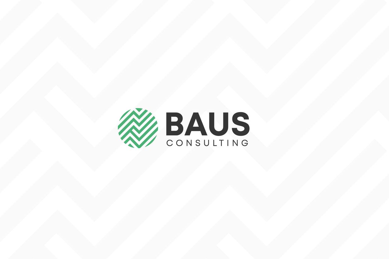 bausconsulting logo