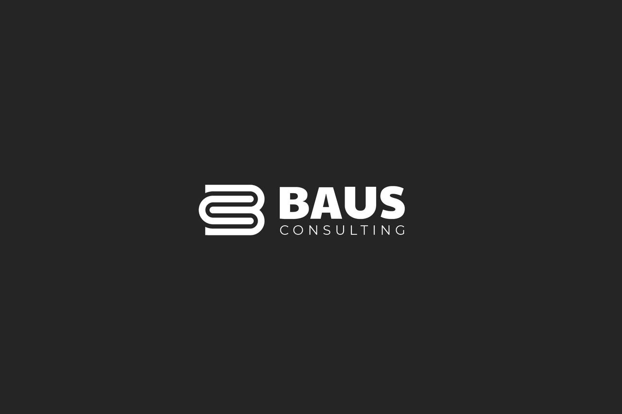 bausconsulting logo
