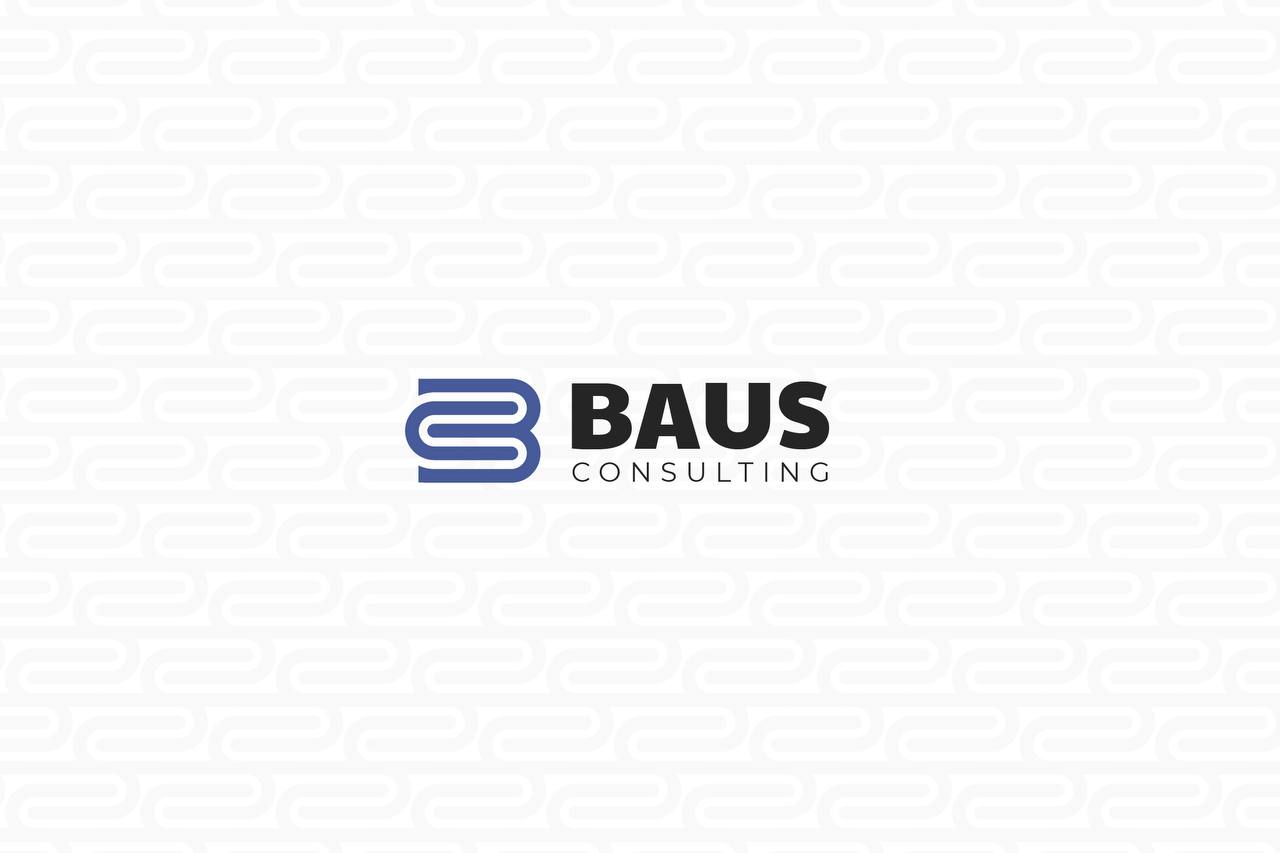 bausconsulting logo