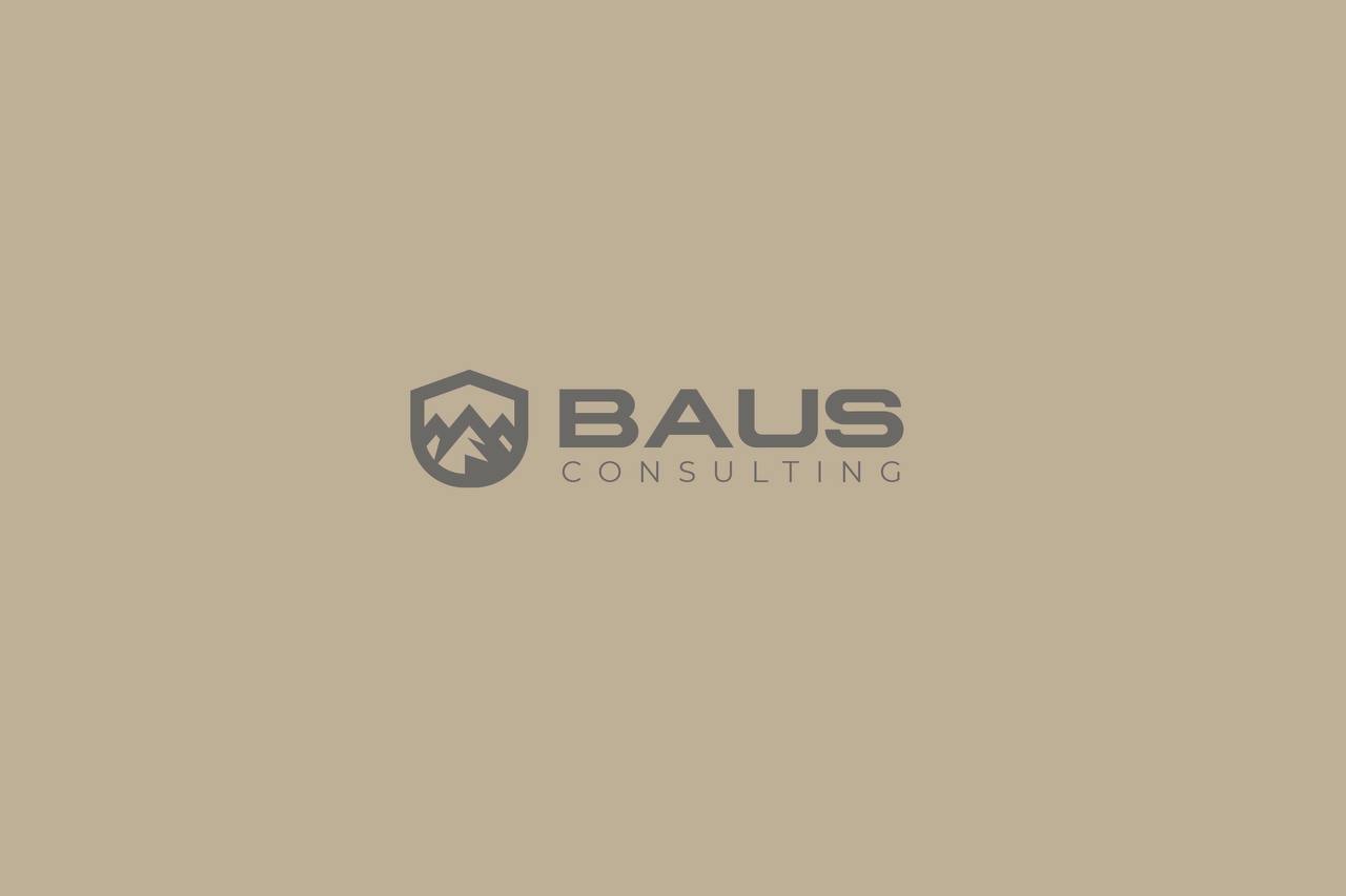 bausconsulting logo