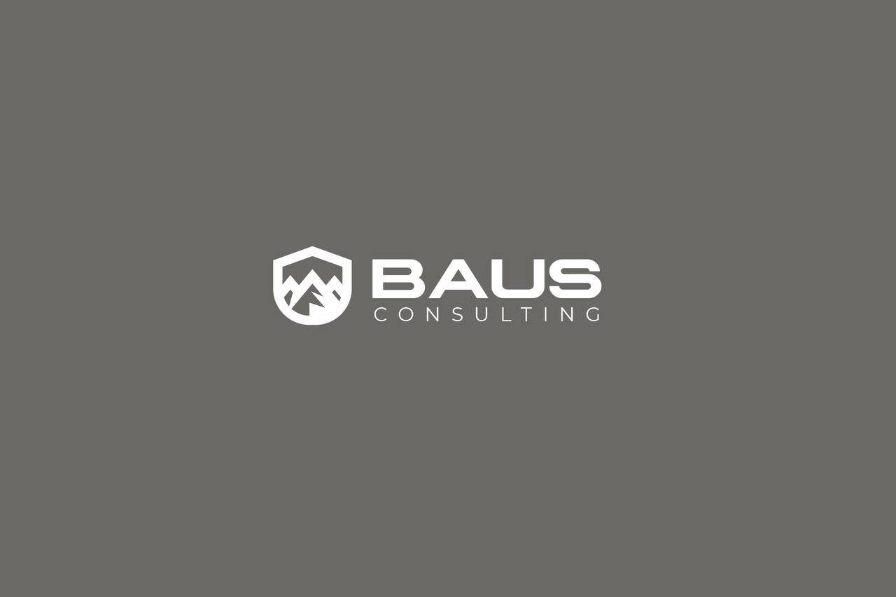 bausconsulting logo